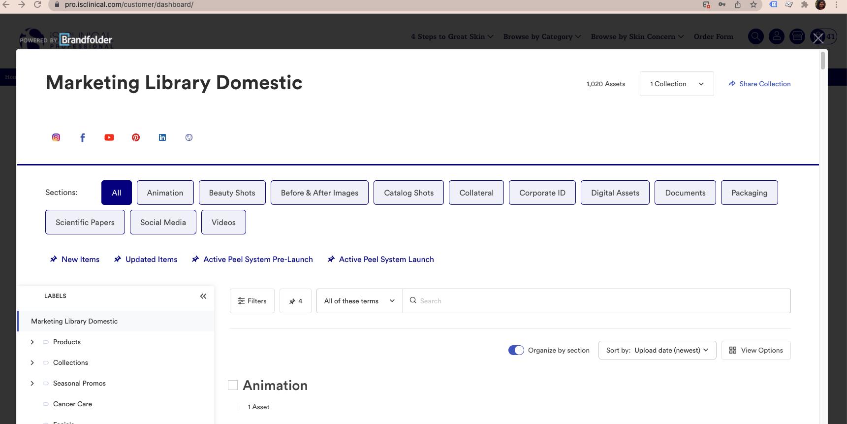 Screenshot of marketing assets for partnerships to use that include different animation and digital logo formats for download.