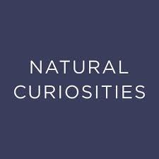 Natural Curiosites Logo Logo in white text and dark background.